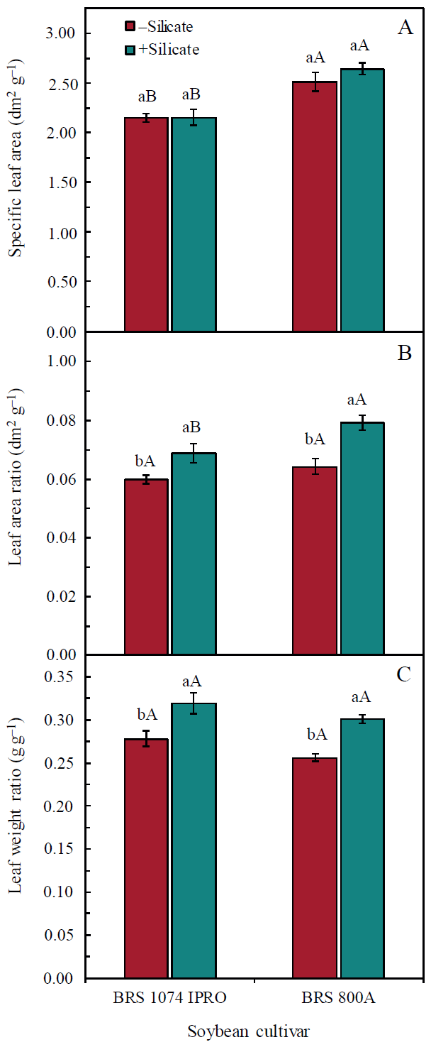 Effect of soil fertilization (+silicate) and non-fertilization (-silicate) with calcium silicate on specific leaf area (A), leaf area ratio (B) and leaf weight ratio (C) of two soybean cultivars, under well-watering conditions. Bars followed by the same lower-case letter between the silicate treatments or the same upper-case letter, for the two soybean cultivars, are not significantly different by the F test at 0.05 of significance. Data refer to mean values (n = 6)  standard error.