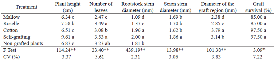 Means1 for plant height, number of leaves, rootstock stem diameter, scion stem diameter, diameter of the graft region and graft survival rate in okra (Abelmoschus esculentus) grafted onto different rootstocks, in the seedling phase.