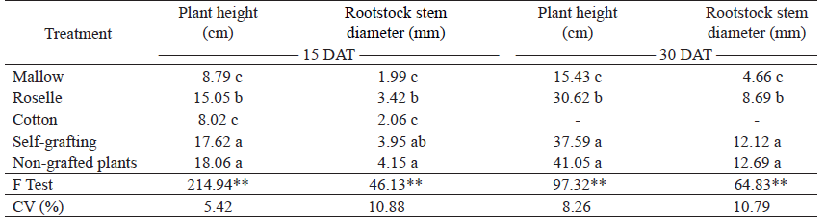 Means1 for plant height and rootstock stem diameter, at 15 and 30 days after transplanting (DAT), in okra (Abelmoschus esculentus) grafted onto different rootstocks and grown under greenhouse conditions.