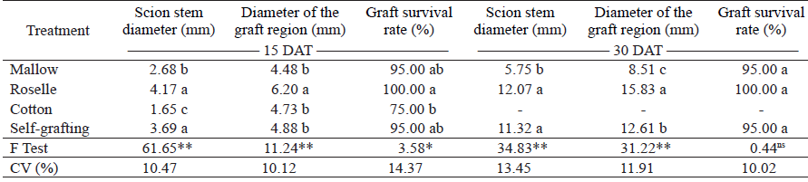 Means1 for scion stem diameter, diameter of the graft region and graft survival rate, at 15 and 30 days after transplanting (DAT), in okra (Abelmoschus esculentus) grafted onto different rootstocks and grown under greenhouse conditions.
