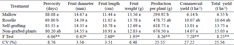Means1 for fruit precocity, diameter, length and weight, production per plant and estimated commercial yield and total yield of okra (Abelmoschus esculentus) grafted onto different rootstocks and grown under greenhouse conditions.