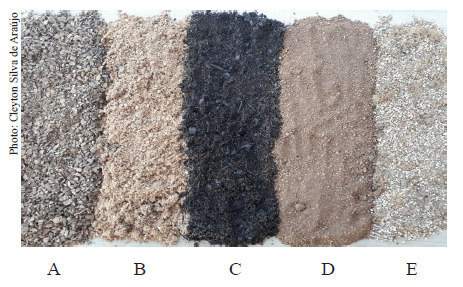 Brazil nut shell (A), acerola pit (B), Tropstrato V9 mix SLAB (C), cupuassu peel (D) and assai pit (E) used as substrate for the production of Euterpe precatoria seedlings.