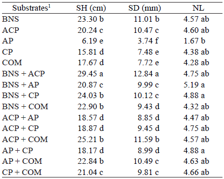 Mean values of shoot height (SH), stem diameter (SD) and number of leaves (NL) for Euterpe precatoria seedlings produced on substrates composed with Amazonian agro-industry residues.