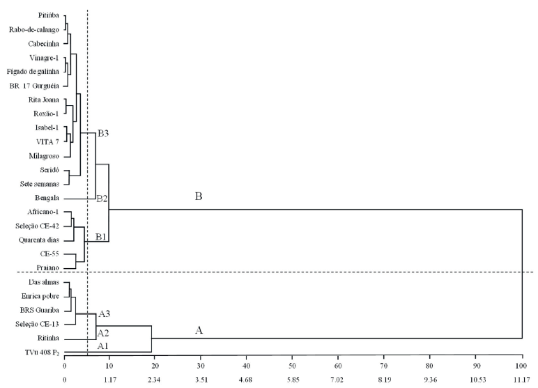 Dendrogram resulting from a cluster analysis, using generalized Mahalanobis distances on the variables number of live cowpea aphid adults and nymphs, for cowpea accessions from an active germplasm bank, with indication of two cut-off points (5 % and 50 %) for genotypic grouping (cophenetic correlation = 0.93; p < 0.01).