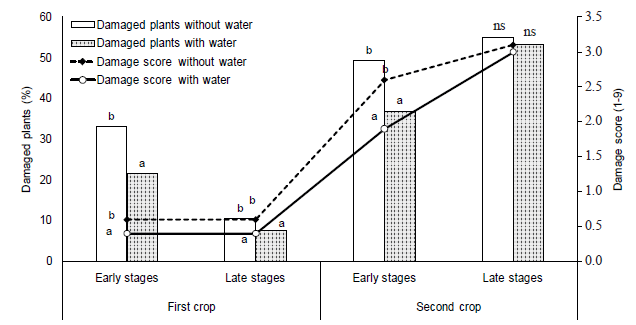 Effect of the water presence inside the maize whorls for the incidence and damage score of Spodoptera frugiperda on maize plants sprayed with chlorantraniliprole at two growing crops and two growth stages. Means followed by different letters in the columns are different by the F-test at 5 % of probability; ns: non-significant.