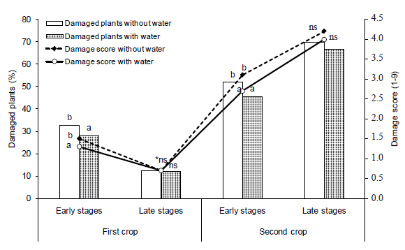 Effect of the water presence inside the maize whorls for the incidence and damage score of Spodoptera frugiperda on maize plants sprayed with chlorfenapyr at two growing crops and two growth stages. Means followed by different letters in the columns are different by the F-test at 5 % of probability; ns: non-significant.