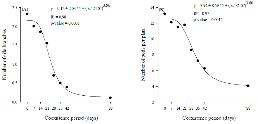 Number of side branches (A) and number of pods per plant (B) of common bean, as a function of the coexistence period with volunteer maize.