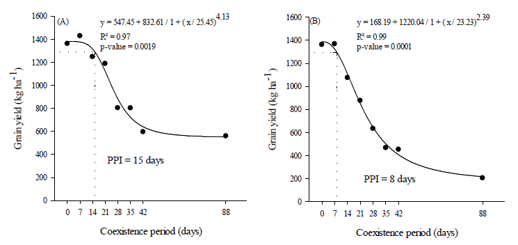 Grain yield of common bean cultivated under low (A) and high (B) density of volunteer maize (4 plants m-2 and 12 plants m-2, respectively), as a function of the coexistence period between weed and crop.