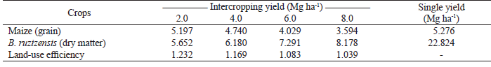 Land-use efficiency of maize and Brachiaria ruziziensis grown single or intercropped under different sowing densities of ruzi grass1.