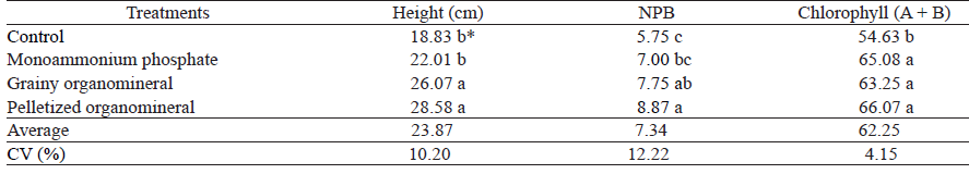 Plant height, number of plagiotropic branches (NPB) and chlorophyll content, at 150 days after planting Coffea arabica (Catua IAC 62), under different phosphate fertilizer managements.