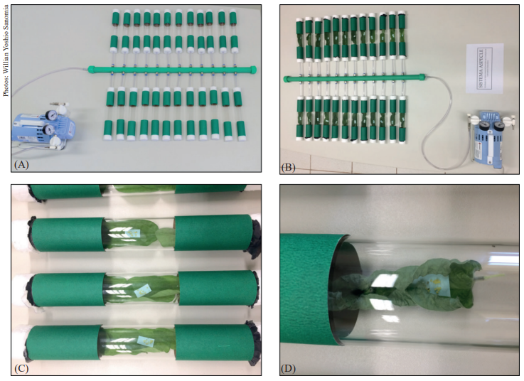 Scheme of the ASPECLE (Evaluation of Pesticide Selectivity in Extended Laboratory Conditions) system: A-B) cages after 1 h of the system operation; C) detail of the selectivity cage containing substrate (soybean leaves), egg carton of Euschistus heros and female of Ooencyrtus submetallicus; D) cage after 14 h of system operation.