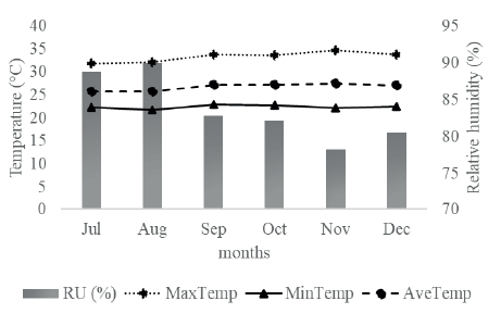 Temperature and relative humidity data collected at an automatic meteorological station in Igarap-Au (Par state, Brazil), during the experimental period (July to December 2018).