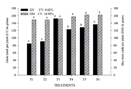 Grain yield per plant (GY) and dry mass per plant (DM), as a function of nitrogen sources. T1: without N; T2: inoculation with Azospirillum brasilense; T3: 180 kg ha-1 of N via urea; T4: 90 kg ha-1 of N via urea and inoculation with Azospirillum brasilense; T5: 90 kg ha-1 of N via urea, with 90 kg ha-1 of N via poultry litter and inoculation with Azospirillum brasilense; T6: 90 kg ha-1 of N via urea, with 90 kg ha-1 of N via poultry litter. Means followed by different letters differ from each other by the Scott-Knott test at 5 % of probability. CV: coefficient of variation.