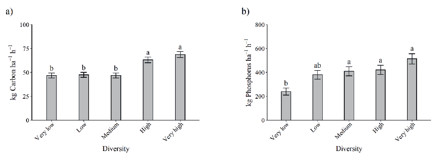 Carbon and phosphorus mineralization potential through the activity of β-glucosidase (a) and acid phosphatase (b), after intercropping in an integrated crop-livestock system (means followed by the same letter do not differ among each other by the Tukey test at 5 %. Very low diversity: no-tillage Paiagus without animal grazing; low diversity: no-tillage Paiagus; medium diversity: no-tillage Paiagus and cowpea bean; high diversity: no-tillage Paiagus, cowpea bean and niger; very high diversity: no-tillage Paiagus, cowpea bean, niger, buckwheat and forage turnip).