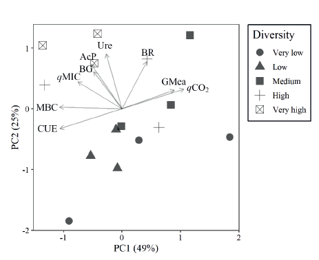 Analysis of the main biochemical attributes of the soybean cultivation soil, after intercropping with plants via integrated crop-livestock system (MBC: microbial biomass carbon; SBR: soil basal respiration; qCO2: metabolic quotient; qMic: microbial quotient; CUE: carbon use efficiency; GMea: geometric mean of enzyme activity; very low diversity: no-tillage Paiagus without animal grazing; low diversity: no- tillage Paiagus; medium diversity: no-tillage Paiagus and cowpea bean; high diversity: no-tillage Paiagus, cowpea bean and niger; very high diversity: no-tillage Paiagus, cowpea bean, niger, buckwheat and forage turnip).
