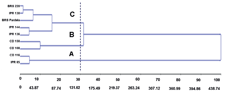 Dendrogram illustrating the dissimilarity pattern obtained by the unweighted pair group method with arithmetic mean (UPGMA), based on the Mahalanobis distance in wheat cultivars.