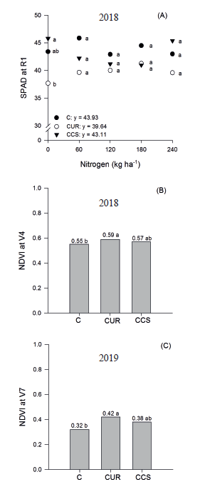 Effect of cultivation systems (C: corn monocropping; CUR: corn + Urochloa ruziziensis; and CCS: corn + Crotalaria spectabilis) and topdressing nitrogen rates (0, 60, 120, 180 and 240 kg ha-1) on second-crop corn, regarding the SPAD index at R1 (A) and normalized difference vegetation index (NDVI) at V4 and V7 (B and C), during the second crop cultivation of 2018 and 2019. Means followed by the same letter within each nitrogen rate do not differ from each other by the Tukey test at 5 % of probability.