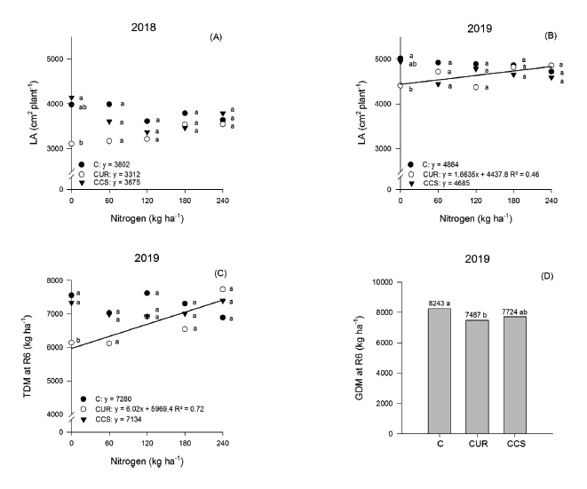Effect of cultivation systems (C: corn monocropping; CUR: corn + Urochloa ruziziensis; and CCS: corn + Crotalaria spectabilis) and topdressing nitrogen rates (0, 60, 120, 180 and 240 kg ha-1) on second-crop corn, regarding the leaf area at R1 (LA) (A and B), total dry mass of corn (TDM) at R6 and grain dry mass (GDM) at R6 (C and D), during the second- crop cultivation of 2018 and 2019. Means followed by the same letter within each nitrogen rate do not differ from each other by the Tukey test at 5 % of probability.