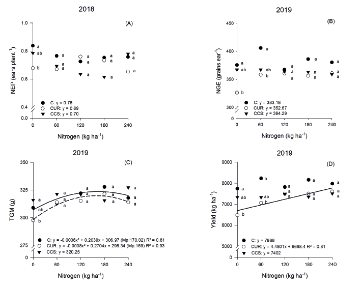 Effect of cultivation systems (C: corn monocropping; CUR: corn + Urochloa ruziziensis; and CCS: corn + Crotalaria spectabilis) and topdressing nitrogen rates (0, 60, 120, 180 and 240 kg ha-1) on second-crop corn, regarding the number of ears per plant (NEP) (A), number of grains per ear (NGE) (B), 1,000-grain mass (TGM) (C) and grain yield (D), during the second crop cultivation of 2018 and 2019. Means followed by the same letter within each nitrogen rate do not differ from each other by the Tukey test at 5 % of probability. Mp: maximum point.