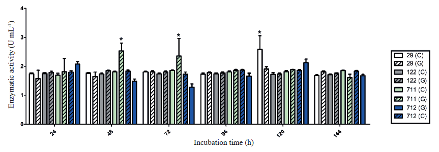 Means and standard errors of the time variation in the chitinolytic activity of endophytic fungi from Bambusa oldhamii [isolates 29 (Acrocalymma sp.), 122 (Botryobambusa fusicoccum), 711 (Phoma sp.) and 712 (Phoma sp.)], using 0.5 % chitin (C) or 0.2 % glucose (G) as substrate. Means followed by an asterisk (*) are significantly different (within the incubation time), according to the Tukey test (α = 0.05).