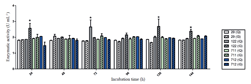 Time variation in the activity of β-1,3-glucanases of endophytic fungi from Bambusa oldhamii [isolates 29 (Acrocalymma sp.), 122 (Botryobambusa fusicoccum), 711 (Phoma sp.) and 712 (Phoma sp.)], using 0.5 % chitin (C) or 0.2 % glucose (G) as substrate. Means followed by an asterisk (*) are significantly different (within the incubation time), according to the Tukey test (α = 0.05).