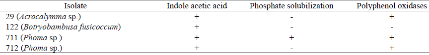 In vitro biochemical characterization of Bambusa oldhamii isolates evaluated qualitatively.
