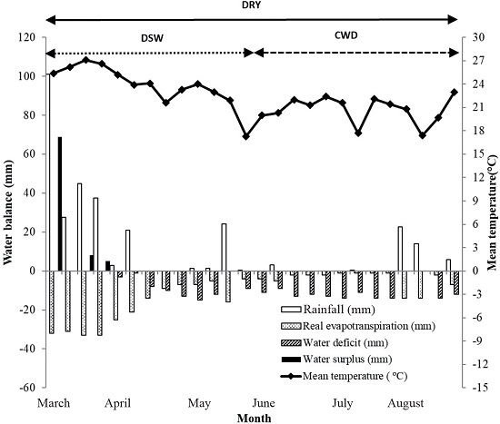 Weekly climatological water balance in the study region during the
                        experimental period, in 2018 (Pindorama, São Paulo state, Brazil).
                        Source: Ciiagro (2020). DSW: decrease
                        in stored water; CWD: critical water deficit; DRY: water deficit throughout
                        the dry season.