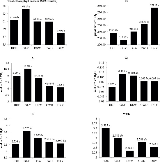 Total chlorophyll content (SPAD index), substomatal CO2
                        concentration (Ci), photosynthetic rate (A), stomatal conductance (Gs),
                        transpiration (E) and water-use efficiency (WUE = A/E) in Persian lime trees
                        with different coexistence times with weeds. HOE: hoeing; GLY: glyphosate;
                        DSW: decrease in stored water (March to May); CWD: critical water deficit
                        (June to August); DRY: water deficit throughout the dry season (March to
                        August).