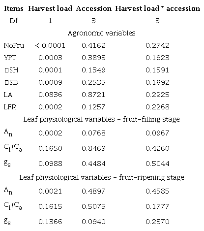 Analysis of variance for number of fruits per tree (NoFru), coffee berry
                        yield per tree (YPT), mean absolute growth rate for stem height
                        (ḠSH), mean absolute growth rate for stem diameter (ḠSD), leaf
                        area per tree (LA), leaf-to-fruit ratio (LFR), net assimilation rate
                            (An), stomatal conductance to water vapor (gs )and
                        internal CO2 concentration regarding the environmental
                            CO2 concentration rate (Ci/Ca )of
                            Coffea arabica L. under “harvest load”,
                        “accession” and their interaction.