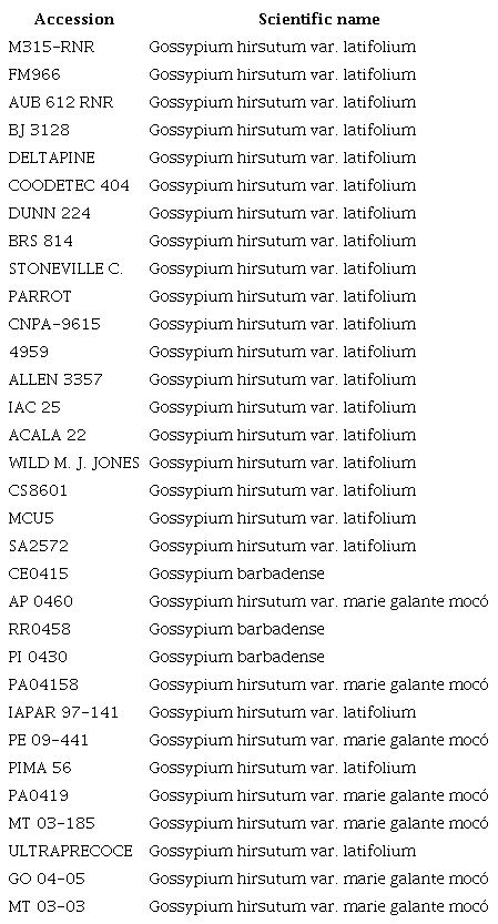 List of cotton accessions (origin: Embrapa Algod&atilde;o) inoculated with 5,000
						eggs and second-stage juveniles of Meloidogyne incognita
						race 3.