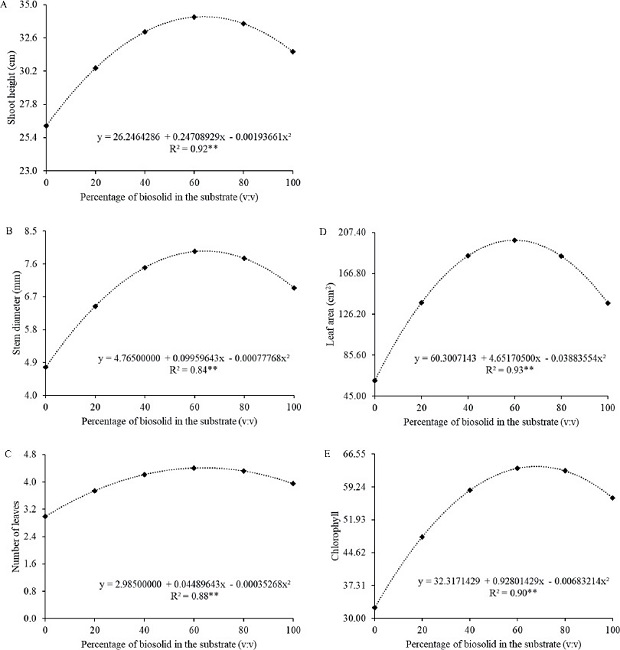 Shoot height (A), stem diameter (B), number of leaves (C), leaf area
                            (D) and total chlorophyll content (E) of Syagrus
                                romanzoffiana seedlings produced in substrates with
                            different percentages of biosolid. ** Significant at 1 % of probability
                            by the F test.