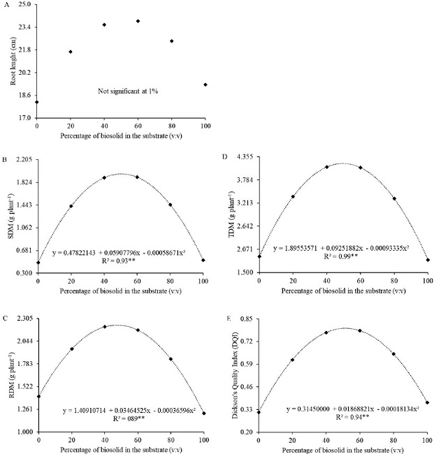 Root length (A), shoot dry matter (SDM; B), root dry matter (RDM; C),
                            total dry mass (TDM; D) and Dickson&rsquo;s quality index (E) of
                                Syagrus romanzoffiana seedlings produced on
                            substrates with different percentages of biosolid. ** Significant at 1 %
                            of probability by the F test.