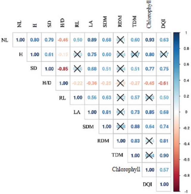 Pearson&rsquo;s correlation between the analyzed characteristics of
                                Syagrus romanzoffiana seedlings produced in
                            substrates with different percentages of biosolid. Significant at 5 % of
                            probability. The X over the numbers indicates that there is no
                            significant correlation among the variables. NL: number of leaves; H:
                            shoot height; SD: stem diameter; H/D: height/diameter ratio; RL: root
                            length; LA: leaf area; SDM: shoot dry matter; RDM: root dry matter; TDM:
                            total dry matter; DQI: Dickson&rsquo;s quality index.