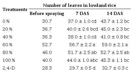 Effect of extract concentrations of Mikania micrantha
and comparison herbicide (2,4-D dimethyl amine) on the number of leaves in
lowland rice at 7-14 days after spraying (DAS).