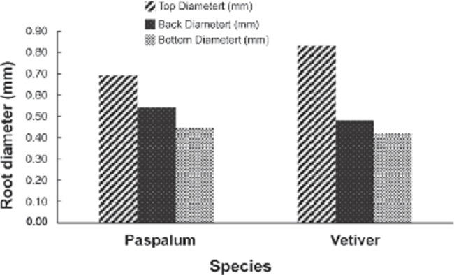 Root diameter of the paspalum and vetiver grasses.