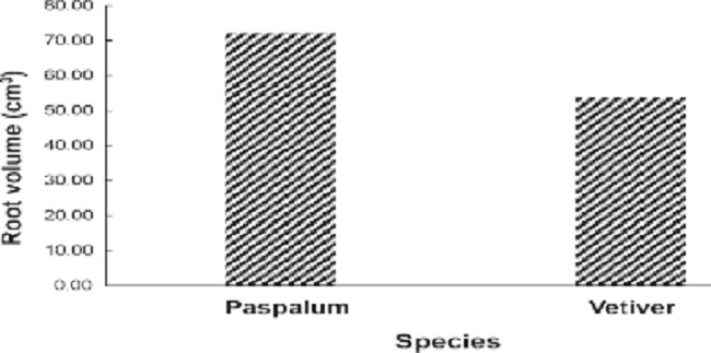Total root volume of the paspalum and vetiver grasses.