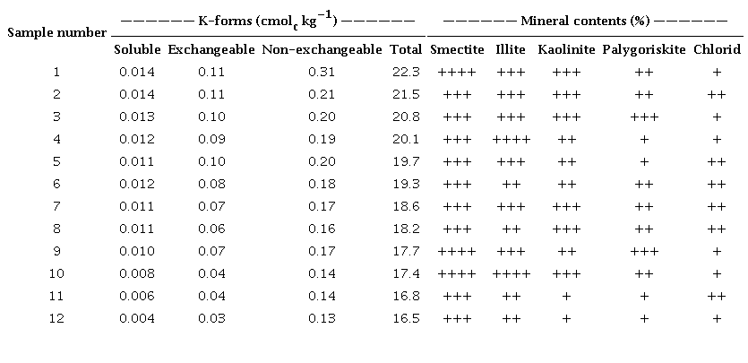 Potassium forms and clay minerals in the studied soils.