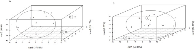 Dispersion of genotypes under irrigated (A) and drought (B)
                            conditions, based on canonical variables, at 0 days after irrigation
                            suspension, as established by a linear combination of standardized
                            variables and cumulative variance (%) and weighting
                            coefficients.
