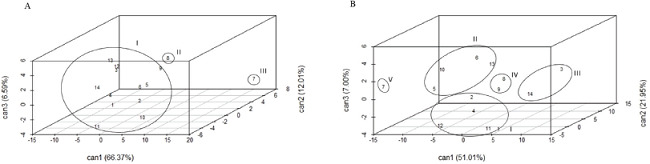 Dispersion of genotypes under irrigated (A) and drought (B)
                            conditions based on canonical variables at 14 days after irrigation
                            suspension, as established by a linear combination of standardized
                            variables and cumulative variance (%) and weighting
                            coefficients.