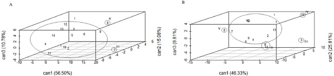 Dispersion of genotypes under irrigated (A) and drought (B)
                            conditions, based on the canonical variables at 18 days after irrigation
                            suspension, as established by the linear combination of the standardized
                            variables and cumulative variance (%) and the weighting
                            coefficients.