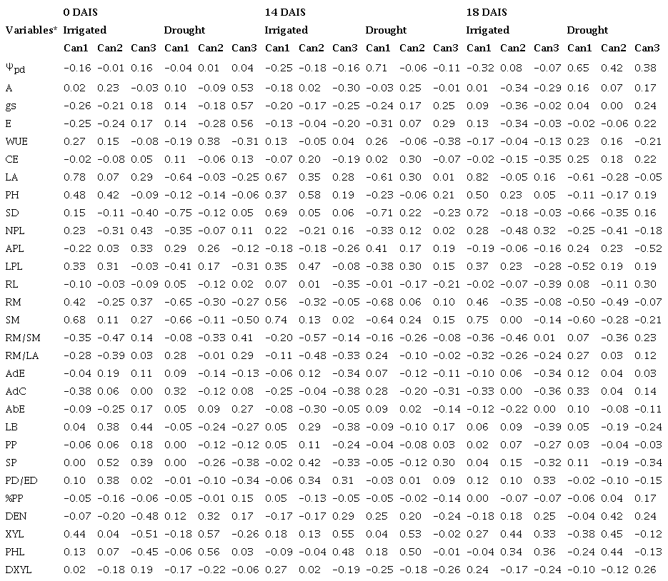Canonical variables at 0, 14 and 18 days after irrigation suspension
                        (DAIS), as established by the linear combination of standard variables and
                        cumulative variance of physiological, anatomical and growth
                        variables.