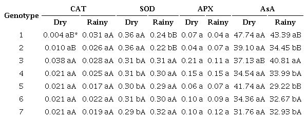 Activity of the enzymes catalase (CAT - μM H2O2 min-1 mg-1 of fresh weight - FW), superoxide dismutase (SOD - U SOD min-1 mg-1 FW), ascorbate peroxidase (APX - μM AsA min-1 mg-1 FW) and ascorbate levels (AsA - mg AsA g-1 FW) in Coffea arabica L. genotypes evaluated in two seasonal periods.