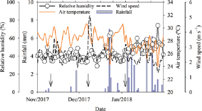 Weather conditions during the harvest of prickly pear cactus cladodes
                                [Nopalea cochenillifera (L.) Salm-Dyck] Mi&uacute;da
                            clone, from November 2017 to January 2018, in Serra Talhada, Pernambuco
                            State, Brazil. Note: the arrows indicate the harvest time [i.e.,
                            November and December - rainfied harvest (non-irrigated); January -
                            irrigated harvest].