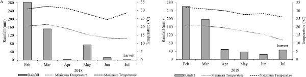 Temperature and monthly rainfall accumulated during the seed
                            production of Crotalaria ochroleuca and Crotalaria spectabilis in 2018
                            (A) and 2019 (B) (Dourados, Mato Grosso do Sul state, Brazil). Source:
                                Fietz et al. (2013).