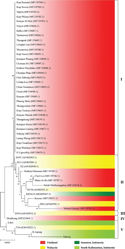 Phylogenetic relationship of durian (Durio zibethinus Murr.)
                            cultivars from South Kalimantan, Indonesia, with others inferred by the
                            neighbor-joining (NJ) method.