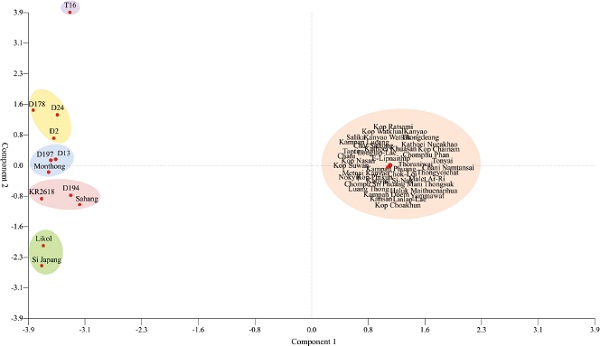 Grouping of durian (Durio zibethinus Murr.) cultivars from South
                            Kalimantan, Indonesia, with other cultivars inferred by principal
                            component analysis (PCA).