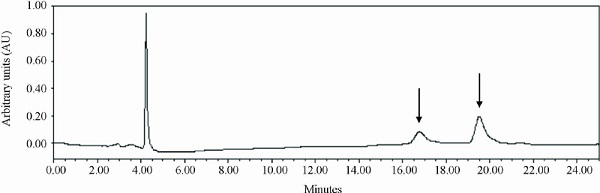 Chromatographic profle at 254 nm of Lafoensia pacari
                            phenolics-containing extract. Column C18 (5 &micro;; 250 &times; 4.6 mm),
                            mobile phase in a gradient system. Punicalagin α and β anomers
                            (arrows).