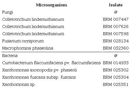 Plant pathogenic microorganisms tested against Lafoensia pacari
                        phenolics-containing extract.