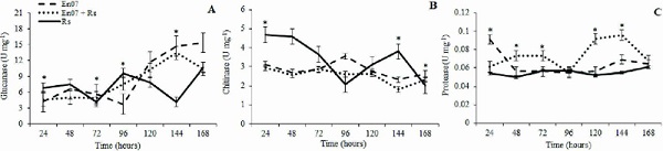 In vitro enzymatic activity of Waitea circinata in co-culture with
                            Rhizoctonia solani: A) glucanase; B) chitinase; C) protease. * Means
                            significantly different, according to the Tukey test (p < 0.05). Bars
                            indicate the mean standard error.