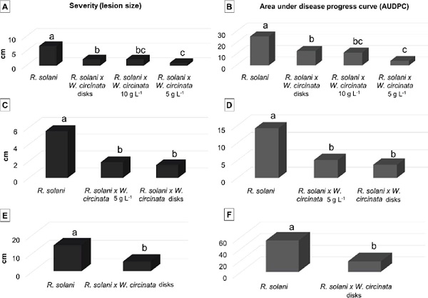 Sheath blight severity (A, C and E) and area under the disease
                            progress curve - AUDPC (B, D and F) for the greenhouse assays (A1: A-B;
                            A2: C-D; A3: E-F) with Waitea circinata applied beforehand (disks) or
                            simultaneously (sprayed with 5 and 10 g L-1).